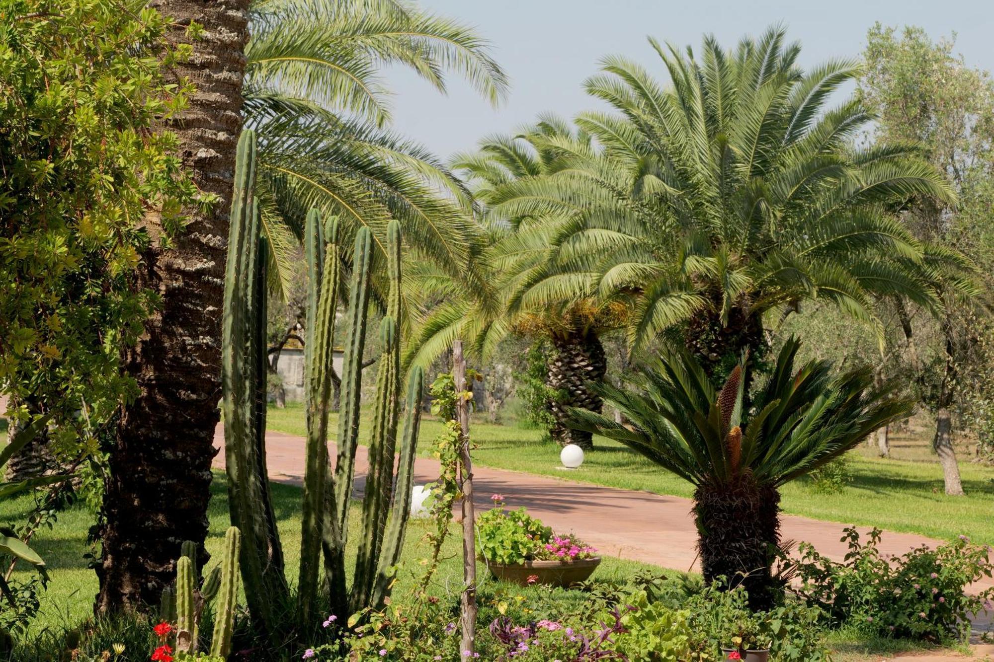 Tenuta Ricco With Pool And Garden Cursi المظهر الخارجي الصورة